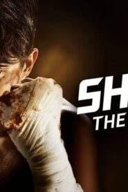 Shark: The Storm